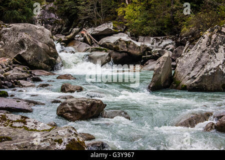 Sight of mountain river inside the Adamello Brenta park, Trentino Alto Adige Italy. Stock Photo