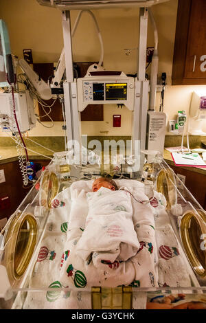 new born baby boy sleeping in incubator in Trios Maternity Hospital, Kennewick, Washington State, USA Stock Photo