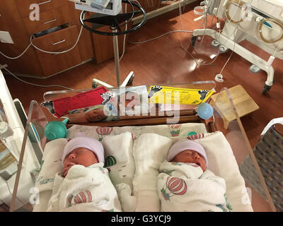six day old new born twins in Trios Maternity Hospital, Kennewick, Washington State, USA Stock Photo