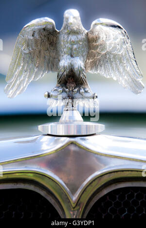 Classic and Vintage cars - Marques and logos Stock Photo