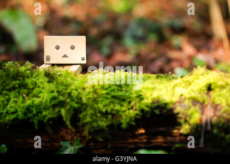 A Danbo Danboard fictional Robot Character hiding amongst undergrowth and lichen in woodland Stock Photo