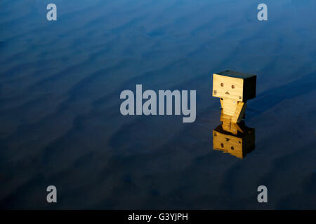 A Danbo Danboard fictional Robot Character walking through a shallow pool of water on a beach Stock Photo