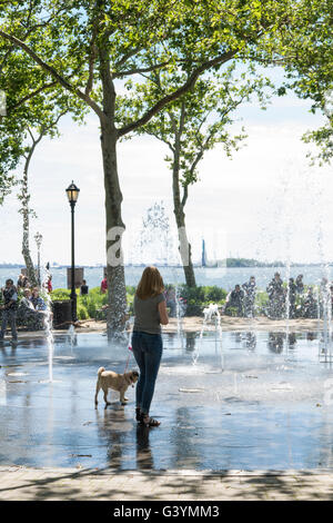 Woman walking her Pug dog into water fountains to help it cool down on a hot day in Summer at Battery Park, New York Stock Photo