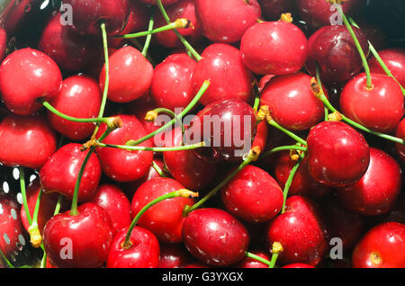 sweet cherries in colander with water drops Stock Photo