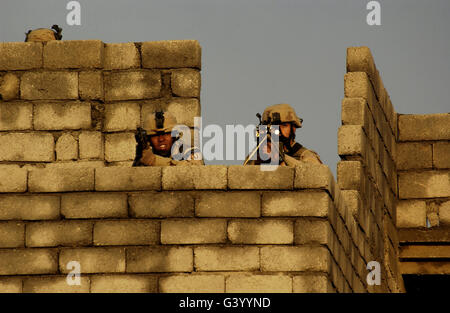 U.S. Army Soldiers from Combat Observation Liaison Team assigned to ...