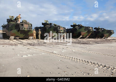 U.S. Marines inspect AAV-P7/A1 amphibious assault vehicles. Stock Photo