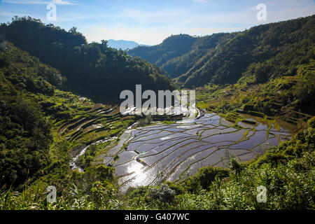 UNESCO rice terraces in Batad, Philippines Stock Photo