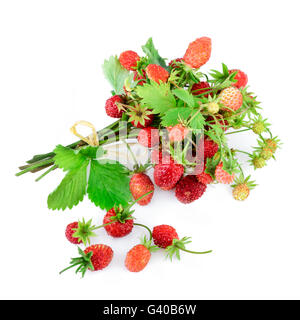 Wild strawberries isolated on the white background Stock Photo - Alamy