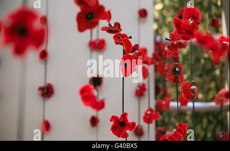 Remembrance Day poppy decoration, Melbourne, Australia Stock Photo