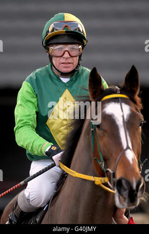 Horse Racing - Blue Square Winter Carnival - Southwell Racecourse Stock Photo