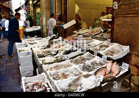 Bologna market, selling fresh fish. Bologna, Emilia-Romagna, Italy, Europe Stock Photo