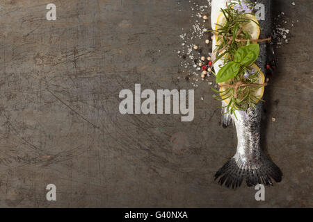 Raw rainbow trout with lemon, herbs and spices Stock Photo