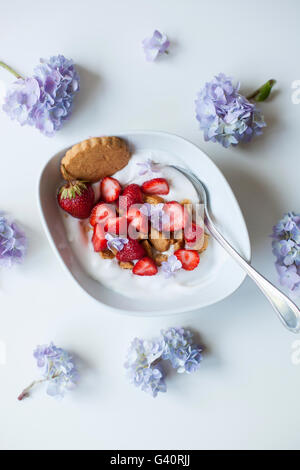 Coconut yogurt with strawberries and crushed coconut cookies Stock Photo