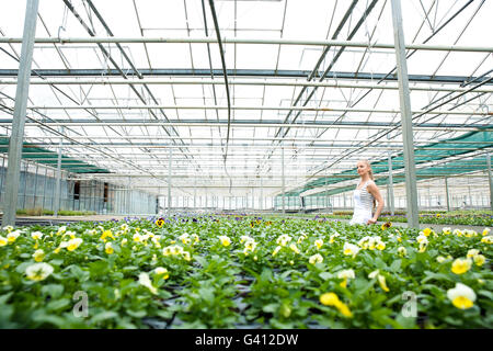 A young gardener woman having a break in the greenhouse Stock Photo - Alamy