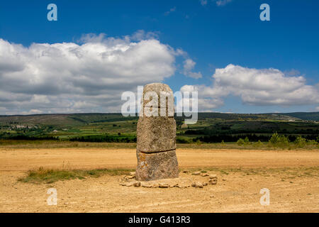 Neolithic menhir, Cham des Bondons, Unesco Word Heritage site, Cevennes national park, Lozere department, Occitanie, France Stock Photo