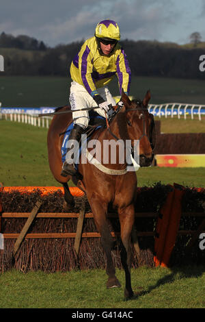 Horse Racing - Coral Welsh National Day - Chepstow Racecourse Stock Photo