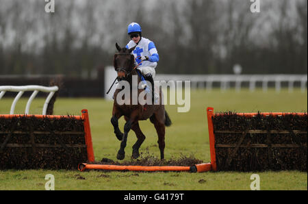 Jockey Richie Killoran on Sovereign Spirit attempts to jump the last fence in the Cromwell Stand Conditional Jockeys' Handicap Hurdle after having to turn back and go the right way after taking the wrong course and eventually coming third after a stewards enquiry Stock Photo