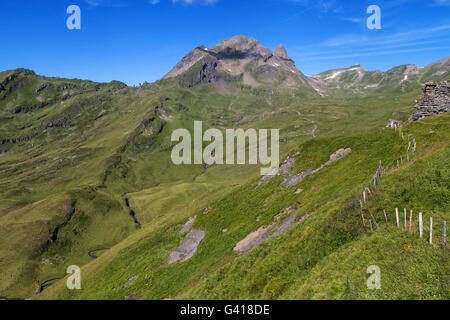 Mount Reeti and the Simelihorn peak in the Grindelwald Alps, Switzerland. Stock Photo