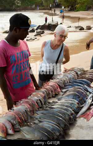 Sri Lanka, Mirissa beach, tourist inspecting locally caught fish outside café on sand Stock Photo