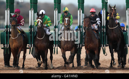 Horse Racing - Blue Square Winter Carnival - Southwell Racecourse Stock Photo