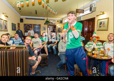 Skibbereen, West Cork, Ireland. 18th June, 2016. Ireland fans in Calahanes Bar, Skibbereen, react to an Irish near miss during the Euro 2016 Ireland Vs Belgium game. Credit: Andy Gibson/Alamy Live News. Stock Photo