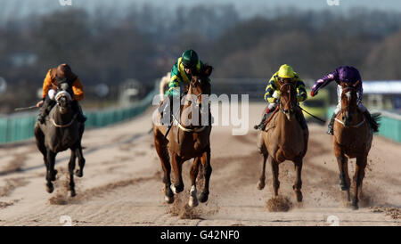 Horse Racing - Blue Square Winter Carnival - Southwell Racecourse Stock Photo