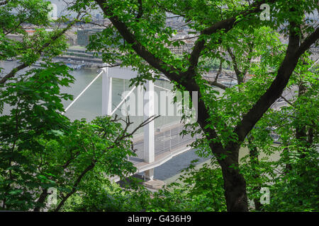 The Erzsebet Bridge glimpsed through the trees on Gellert-hegy (hill) on the Buda side of the Danube in Budapest, Hungary. Stock Photo