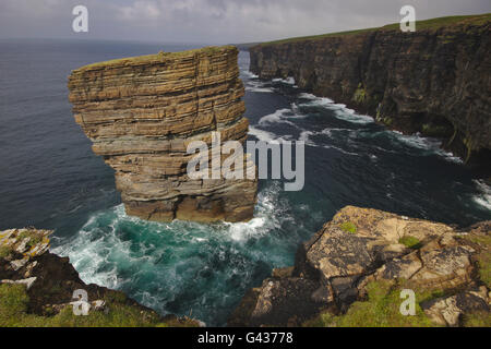 North Gaulton Castle, sea stack, Orkney Mainland, UK Stock Photo