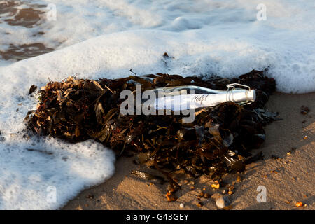 Message is a bottle "Help" washed up on the beach Stock Photo