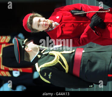 The Princess Royal pictured with the Duke of York on the steps of St Pauls Cathedral in London today (Wednesday) after attending a memorial service for the British who died in the Gulf conflict. The decision by the Prince of Wales not to remarry after he divorces could clear the way for his sister, the Princess Royal, to play a prominent role at the side of the future King Charles. Stock Photo