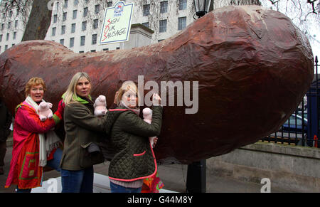 (left to right) Christine Hamilton, Sharron Davies and Liz McClarnon at the Sign Our Sausage rally organised by the National Pig Association where hundreds of pig farmers from all over the UK came to Whitehall in London to campaign for a fair deal from supermarkets and processors. Stock Photo