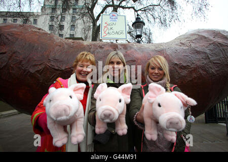 (left to right) Christine Hamilton, Sharron Davies and Liz McClarnon at the Sign Our Sausage rally organised by the National Pig Association where hundreds of pig farmers from all over the UK came to Whitehall in London to campaign for a fair deal from supermarkets and processors. Stock Photo