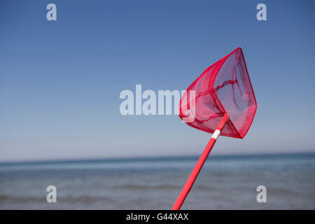 Red butterfly net Stock Photo