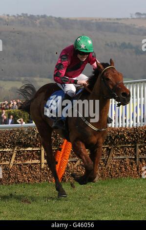 Horse Racing - 2011 Cheltenham Festival - Day Three. Sivota ridden by Ruby Walsh during the Pertemps Final (Listed Handicap Hurdle) on St Patrick's Day, during the Cheltenham Festival. Stock Photo