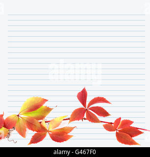 Multicolor branch of grapes leaves (Parthenocissus quinquefolia foliage) on notebook paper. Back to school background. Stock Photo