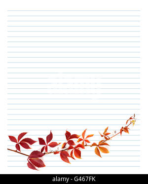 Red branch of grapes leaves (Parthenocissus quinquefolia foliage) on notebook paper. Back to school background. Stock Photo