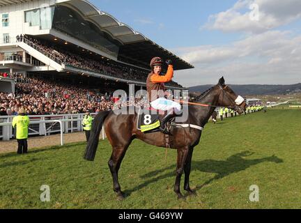 Jockey Sam Waley-Cohen celebrates winning the totesport Cheltenham Gold Cup on Long Run during Gold Cup Day, at the Cheltenham Festival. Stock Photo