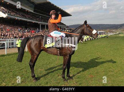 Horse Racing - 2011 Cheltenham Festival - Day Four. Jockey Sam Waley-Cohen celebrates winning the totesport Cheltenham Gold Cup on Long Run during Gold Cup Day, at the Cheltenham Festival. Stock Photo