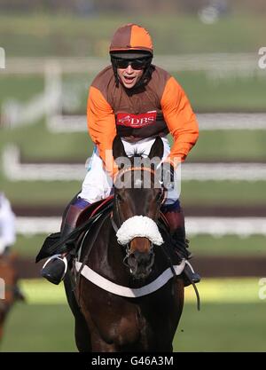 Jockey Sam Waley-Cohen celebrates winning the totesport Cheltenham Gold Cup on Long Run during Gold Cup Day, at the Cheltenham Festival. Stock Photo