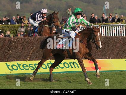 Horse Racing - 2011 Cheltenham Festival - Day Four. Templer ridden by Nick Sutton during the Christie's Foxhunter Chase Challenge Cup on Gold Cup Day, during the Cheltenham Festival. Stock Photo