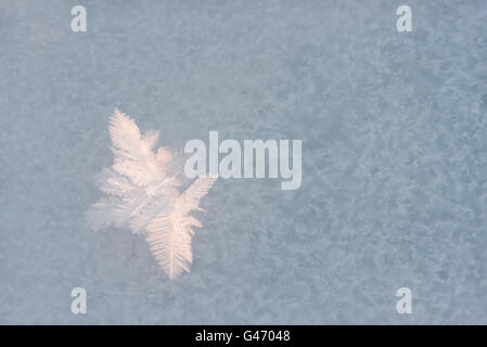 Closeup of large snow flakes or crystals formed due to extreme cold weather Stock Photo