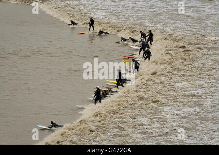 surfers riding a wave on the Severn Bore through Gloucestershire. Stock Photo