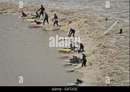 surfers riding a wave on the Severn Bore through Gloucestershire. Stock Photo