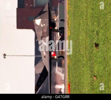 Two hares get a grand stand view of an American F-117A Nighthawk stealth fighter as it taxis past during Air Fete 97 at RAF Mildenhall yesterday (Saturday). The Fete marks the 50th anniversary of the formation of the United States Air Force. Photo by Paul Jarrett. / PA. Stock Photo