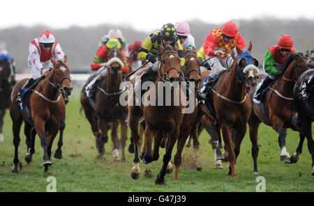 Horseradish ridden by Hayley Turner wins the williamhill.com Handicap ...