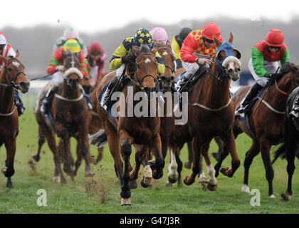 Horseradish ridden by Hayley Turner wins the williamhill.com Handicap ...