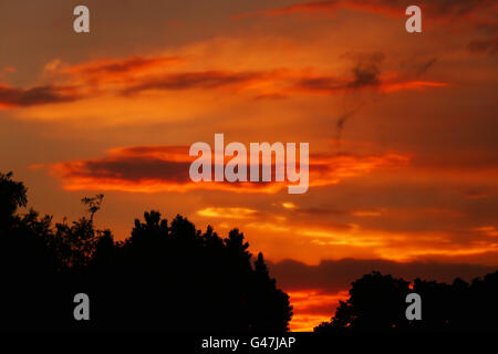 Vivid colours as the sunsets over Wanstead, East London Stock Photo