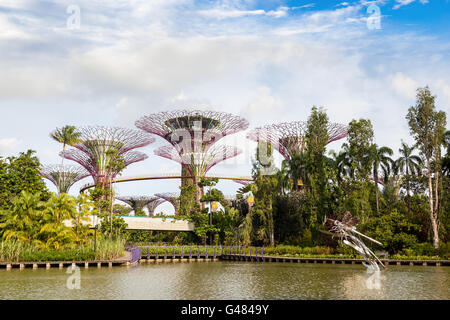 Singapore, Singapore - December 9, 2014: Gardens by the Bay on Dragonfly Lake in Singapore. Stock Photo