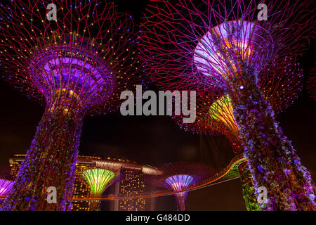Singapore, Singapore - December 9, 2014: The Supertree Grove comes alive at Gardens by the Bay in Singapore. The nightly dazzlin Stock Photo