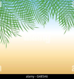Vector illustration of palm tree leaves over summer background for your design Stock Vector